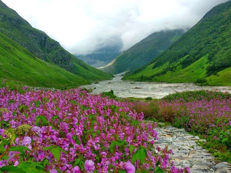 Valley of Flower